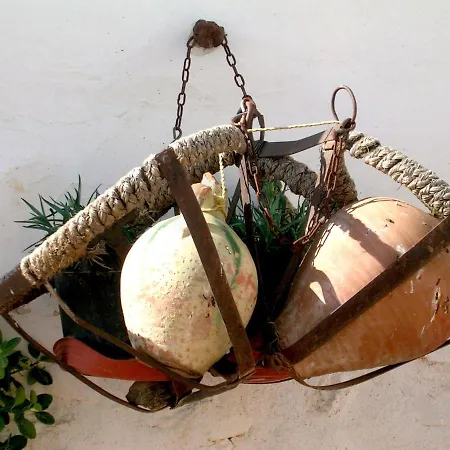 Inviting In With Shared Pool