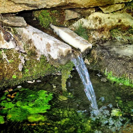 Inviting In With Shared Pool